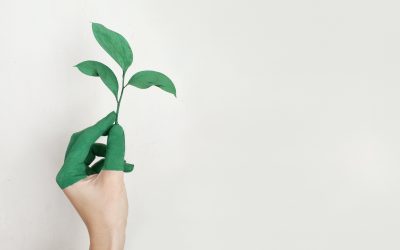 Questionnaire RSE client : comment répondre aux demandes de vos donneurs d’ordre ?